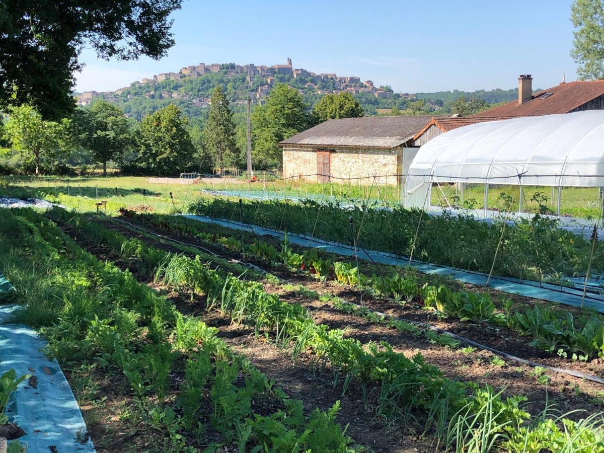 Gite A La Ferme De Verdurette Cordes Sur Ciel Exteriör bild