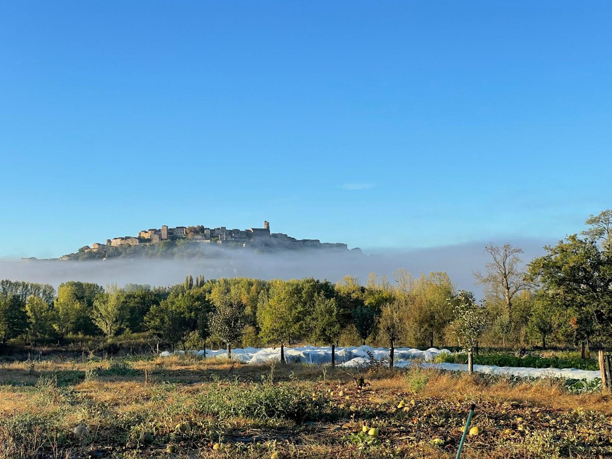 Gite A La Ferme De Verdurette Cordes Sur Ciel Exteriör bild