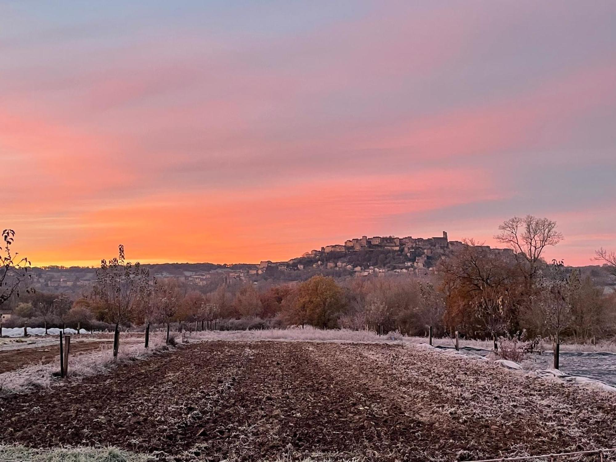 Gite A La Ferme De Verdurette Cordes Sur Ciel Exteriör bild