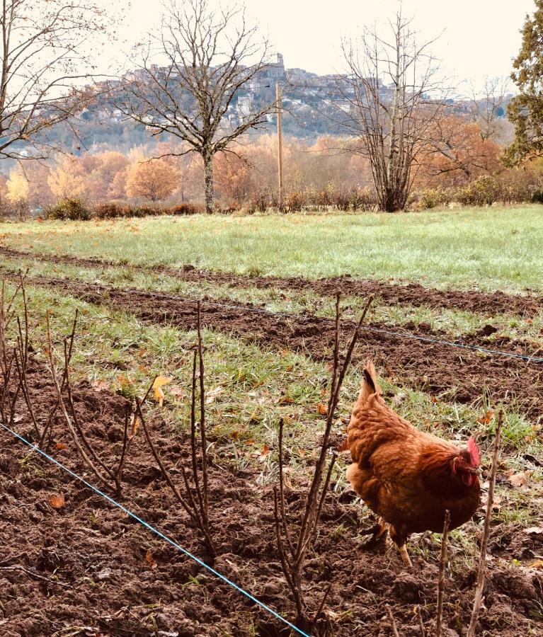 Gite A La Ferme De Verdurette Cordes Sur Ciel Exteriör bild
